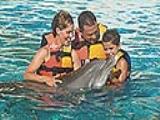 Sea Life Park Hawaii Sea Life Park Hawaii